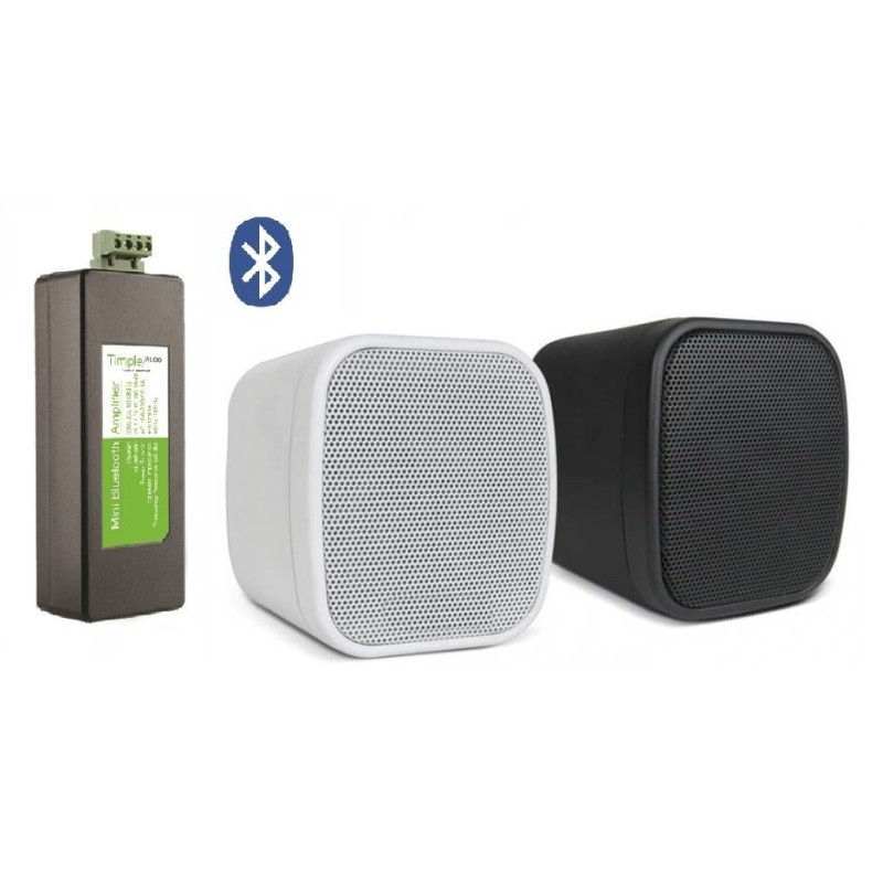 Timple Audio Odtwarzacz Bluetooth z Głośnikami Ściennymi Neo (TMN20EASY + NEO)