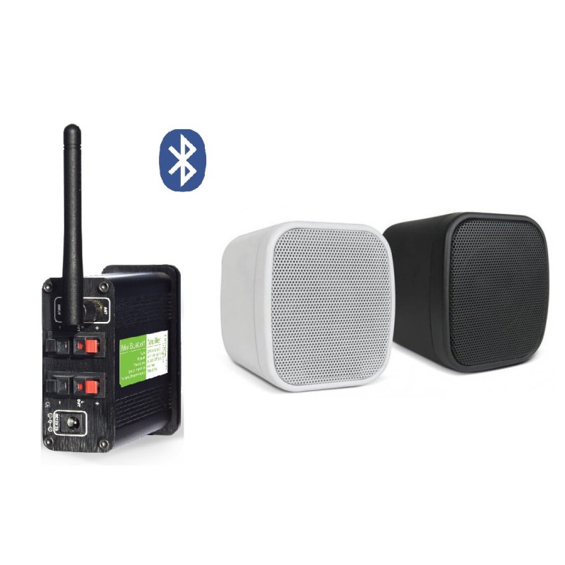 Timple Audio Odtwarzacz Bluetooth z Głośnikami Ściennymi NEO (TMN30EASY + NEO)
