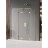 New Trendy Avexa Gold Shine Kabina Prostokątna Przyścienna P 100x110x200 Przezroczyste 6mm Active Shield (EXK-2140)