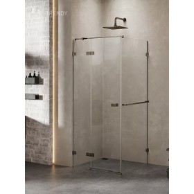 New Trendy Avexa Gunmetal Brushed Kabina Prostokątna L 120x110x200 Przezroczyste 6mm Active Shield (EXK-3286)