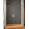 New Trendy Smart Drzwi Podwójne 170x200 Przezroczyste 8mm Active Shield (EXK-4018)