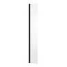 Besco Eco-N Black panel boczny do Walk-In zawias kolumnowy przejrzyste szkło 30x195 (PEFB-30-195C)
