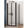 SanSwiss Divera D22T2+D22F1 Kabina prysznicowa drzwi wahadłowe czarna 70x90x200 cm Szkło Przezroczyste (D22T20700607 + D22F10900