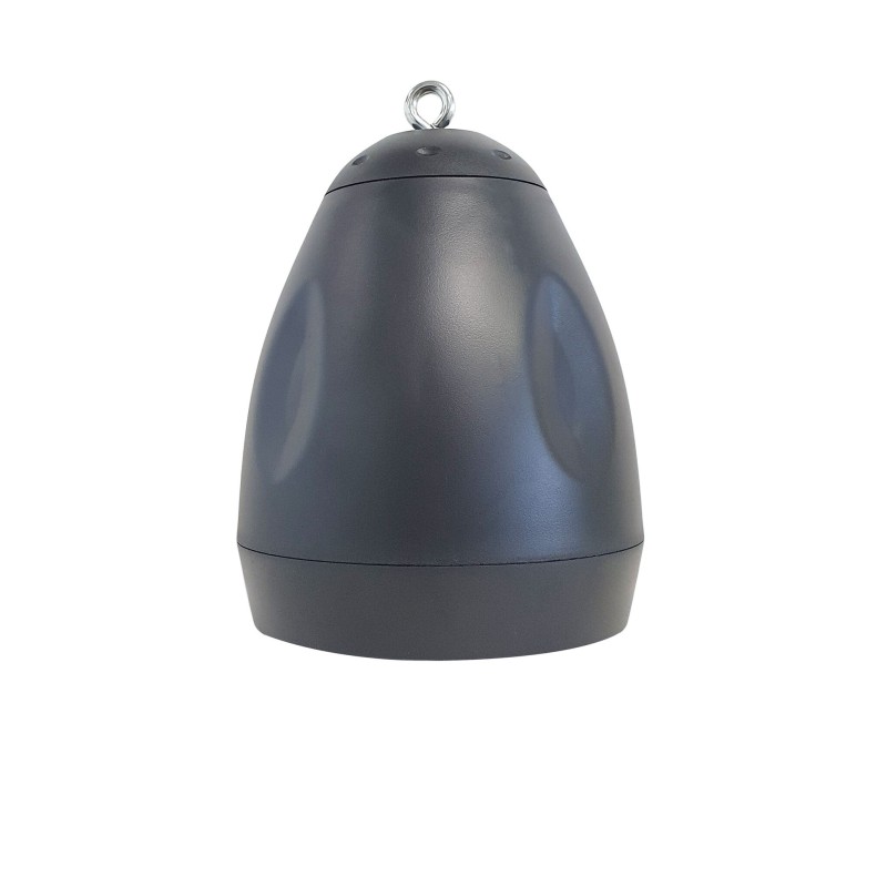 Dexon Głośnik wiszący 30W (HPO-30BL/N)