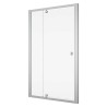 SanSwiss Arelia D20T13 Drzwi Prysznicowe Z Elementem Stałym 100x190 cm Srebrny Polerowany (D20T131004007)