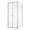 SanSwiss Arelia D20K+D20F1 Kabina prysznicowa 100x100x190 cm Srebrny Polerowany (D20K1004007+D20F11004007)