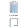 SanSwiss Arelia D20S3+D20F1 Kabina prysznicowa 100x90x190 cm Srebrny Polerowany (D20S31004007+D20F10904007)