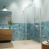 Sealskin INC kabina Walk in ze ścianką boczną 90x30x200cm 8mm Chrom mat z organizerem i powłoką clear glass (XIA10906265100)
