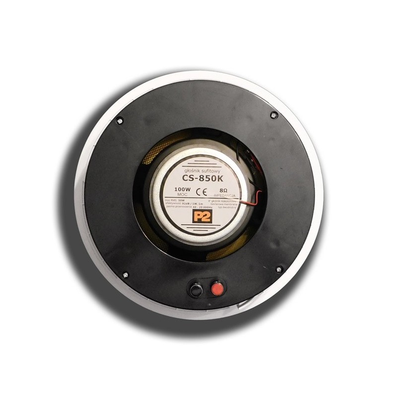 Dexon - P2 Zestaw nagłaśniający Bluetooth, Wi-Fi Spotify Android 4 głosniki białe 50W (MRP 2206 + 4xCS-850KT)