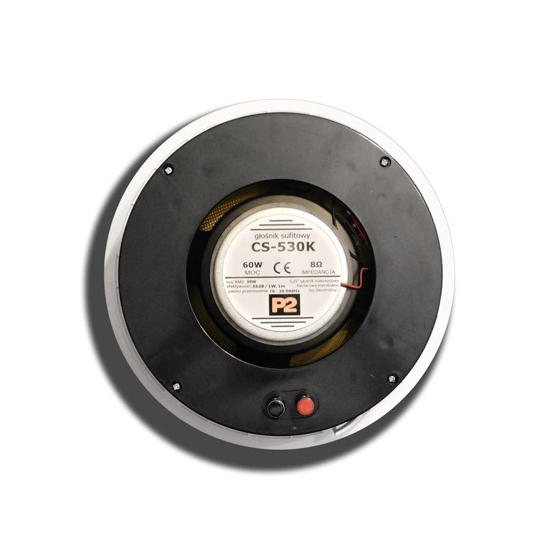 Dexon - P2 Zestaw nagłaśniający czarny Bluetooth, Wi-Fi - LAN ze Wzmacniaczem + 8 głośników 30W białych (MRP 8300+8x CS-530K)