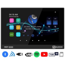 Dexon - P2 Zestaw nagłaśniający czarny Bluetooth, Wi-Fi - LAN ze Wzmacniaczem + 2 głośniki Coco 30W (MRP 8300+SPKCoco120-W)