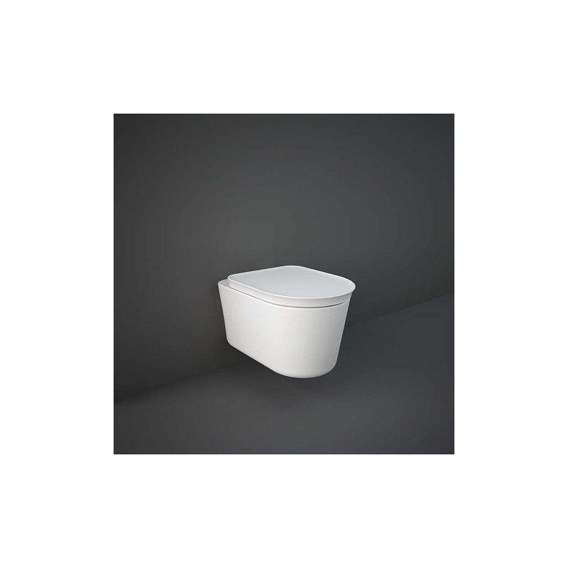 Rak Ceramics Valet Miska WC podwieszana RIMLESS 56x36,3 cm biały mat (VALWC144500A)