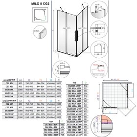 Vixor Milo 8 CG2 Kabina prysznicowa prostokątna nikiel szczotkowany 120Lx80P cm (N05-21120-91-01L+N05-21080-91-01R)