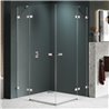 New Trendy Avexa Nickel Brushed Kabina prysznicowa 2D prostokątna 100x110x200 cm Active Shield 2.0 (EXK-8544)