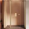 New Trendy New Soleo Drzwi wnękowe gold brushed 1D U 130x195 cm szkło czyste 6mm Active Shield 2.0  (D-0964A)