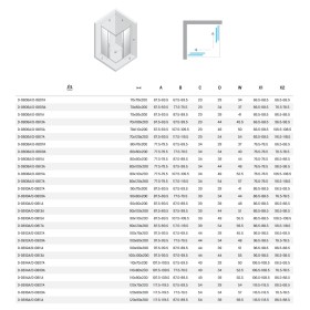 New Trendy Prime Kabina prysznicowa copper brushed 2D prostokątna 100x80x200 cm Active Shield 2.0 (D-0812A/D-0809A)