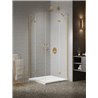 New Trendy Nesta Kabina gold brushed 2D prostokątna 80x120x200 cm Active Shield 2.0 (K-4464)