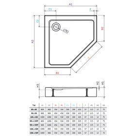 Vixor Nivo brodzik akrylowy pięciokątny Biały 100 L x 80 P cm (NP01-100L80P)