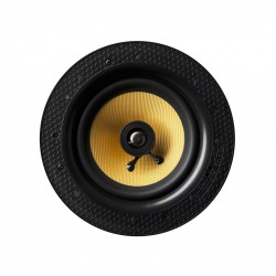 Lithe Audio Sufitowy Głośnik Aktywny WI-FI 60W MULTIROOM Master (01561)