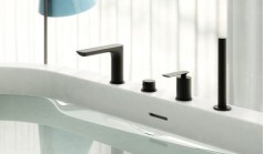 Experience Gray Kohlman