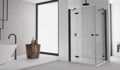 Sanswiss Annea an13 d+g Black