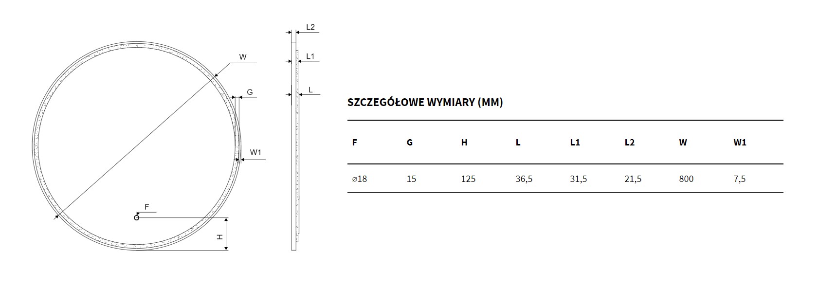 rys techniczny